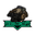 FEDERAL CONCEPTS logo